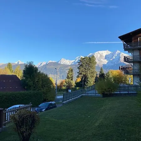 La Marmotte: Vue Mont Blanc, Terrasse, Parking