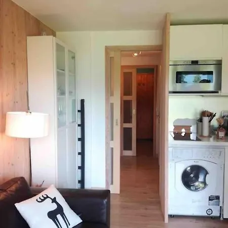 Apartment La Marmotte: Vue Mont Blanc, Terrasse, Parking *